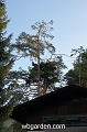 wbgarden alps 25